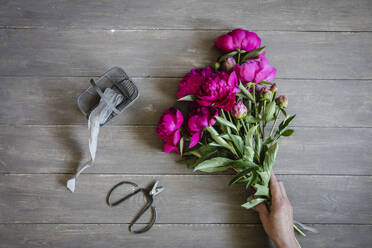 Hand of woman preparing bouquet of pink blooming peonies - EVGF04105