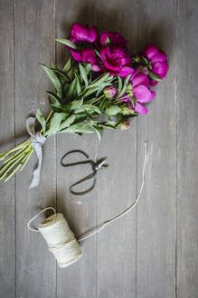 Scissors, string and freshly cut peonies lying on wooden surface - EVGF04114