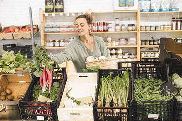 Woman picking up radish from crate in greengrocer shop - PCLF00134