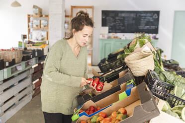 Customer buying fresh tomatoes in greengrocer shop - PCLF00142