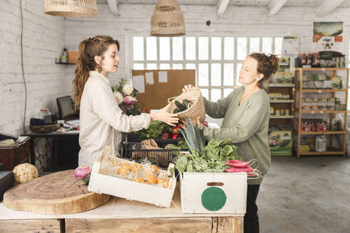 Customer passing vegetable basket to grocer in shop - PCLF00146