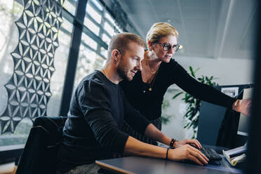 Senior businesswoman pointing at computer monitor and discussing work with male colleague sitting at desk. Two business professionals working together on a project. - JLPSF05303