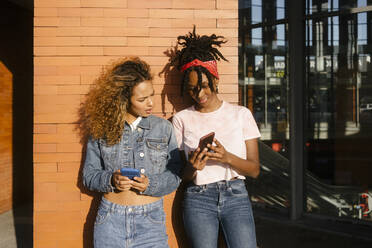 Junge Frau zeigt einem Freund an einem sonnigen Tag ihr Handy - MMPF00364