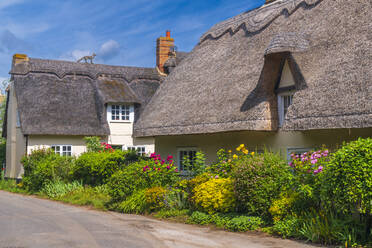 Traditionelles reetgedecktes Cottage, Wennington, Cambridgeshire, England, Vereinigtes Königreich, Europa - RHPLF23161