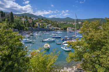 View of boats in the harbour at Ika, Ika, Kvarner Bay, Eastern Istria, Croatia, Europe - RHPLF23165