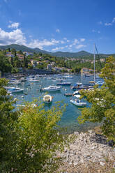 View of boats in the harbour at Ika, Ika, Kvarner Bay, Eastern Istria, Croatia, Europe - RHPLF23166