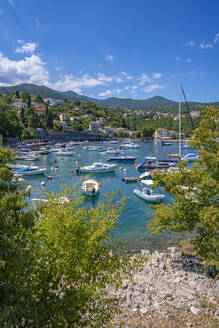 Blick auf Boote im Hafen von Ika, Ika, Kvarner-Bucht, Ost-Istrien, Kroatien, Europa - RHPLF23166