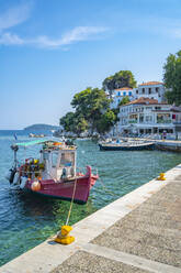 Blick auf den alten Hafen in Skiathos-Stadt, Insel Skiathos, Sporaden, Griechische Inseln, Griechenland, Europa - RHPLF23184