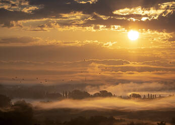 Deutschland, Baden-Württemberg, Blick auf das in dichten Nebel gehüllte Naturschutzgebiet Radolfzeller Aachried bei Sonnenaufgang - BSTF00209