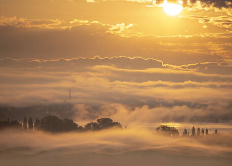 Deutschland, Baden-Württemberg, Blick auf das in dichten Nebel gehüllte Naturschutzgebiet Radolfzeller Aachried bei Sonnenaufgang - BSTF00210