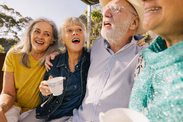 Langjährige Freunde, die sich beim Morgentee amüsieren. Fröhliche ältere Menschen, die ihren Sommerurlaub in einem Kurort genießen. Glückliche Senioren, die sich nach ihrer Pensionierung amüsieren. - JLPSF09146