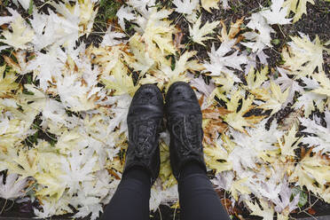 Legs of woman wearing black boots on autumn leaves - EYAF02185
