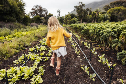 Junges blondes Mädchen, das tagsüber durch einen Bio-Bauernhof spaziert. Rückansicht eines anonymen jungen Kindes mit Gartenarbeitsstiefeln auf einem landwirtschaftlichen Feld. Bezauberndes junges Kind, das allein auf einem Bauernhof spazieren geht. - JLPSF10003