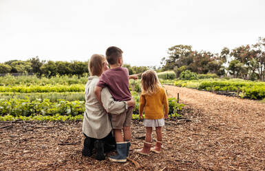 We're going to harvest over there soon. Single mother pointing towards fresh green crops on an agricultural field while talking to her kids. Rearview of a young self-sustainable family on an organic farm. - JLPSF10009