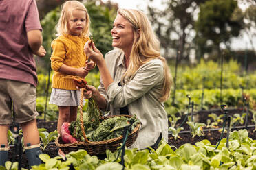 Eine lächelnde alleinerziehende Mutter zeigt ihren Kindern eine frische Karotte bei der Ernte auf einem Biobauernhof. Eine glückliche junge Mutter von zwei Kindern sammelt mit ihren Kindern frisches Gemüse in einem Korb. - JLPSF10017