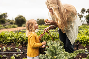 Mom showing her daughter a fresh onion in an organic garden. Young single mother gathering fresh vegetables with her daughter during harvest season. Self-sustainable family reaping fresh produce. - JLPSF10025