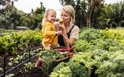 Cheerful mother and daughter gathering fresh vegetables. Happy young mother carrying her daughter and picking fresh produce in an organic garden. Self-sustainable family harvesting from their farm. - JLPSF10045