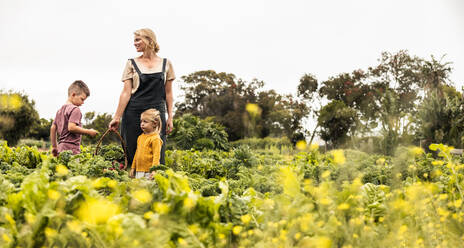 Frau, die mit ihren Kindern frisches Gemüse erntet. Glückliche junge alleinerziehende Mutter, die einen Korb mit frischem Obst und Gemüse in der Hand hält, während sie in einem Biogarten steht. Selbstversorgende Familie bei der Ernte auf ihrem Bauernhof. - JLPSF10049