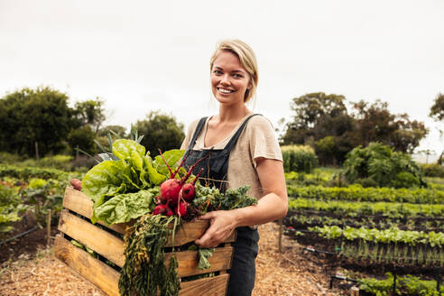 Selbstversorgerin, die eine Kiste mit frischem Obst und Gemüse in der Hand hält. Junge Bio-Bäuerin, die nach der Ernte von frischem Gemüse aus ihrem Garten fröhlich lächelt. Glückliche Bäuerin auf ihrem Hof. - JLPSF10051