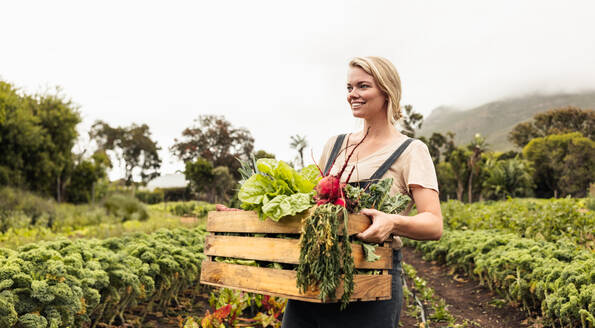 Junge Bäuerin hält eine Kiste mit frischem Gemüse in der Hand. Glückliche Bio-Bäuerin, die nach der Ernte von frischem Gemüse aus ihrem Garten fröhlich lächelt. Erfolgreiche Bäuerin auf ihrem Hof. - JLPSF10054