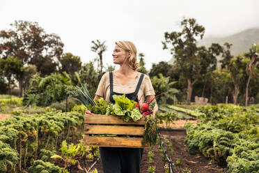 Lächelnde Bäuerin, die frisches Gemüse auf ihrem Hof erntet. Glückliche junge Frau, die eine Kiste mit frischem Gemüse in ihrem Gemüsegarten hält. Erfolgreiche Biobäuerin, die frisches Gemüse erntet. - JLPSF10056