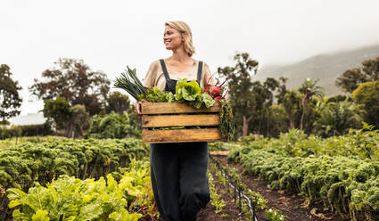 Biobäuerin, die auf ihrem Hof frisches Gemüse erntet. Glückliche junge Frau, die eine Kiste mit frischem Gemüse in ihrem Gemüsegarten hält. Erfolgreiche Biobäuerin, die bei der Ernte lächelt. - JLPSF10057