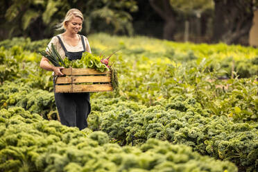 Gemüsebäuerin bei der Ernte in ihrem Garten. Glückliche junge Biobäuerin mit einer Kiste voller frisch geernteter Produkte in der Hand, während sie durch ihren Gemüsegarten geht. Erfolgreiche Bäuerin lächelt fröhlich. - JLPSF10061