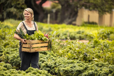 Self-sufficient organic farmer holding a box full of freshly picked produce on her farm. Happy female farmer smiling cheerfully while walking through her vegetable garden during harvest season. - JLPSF10062