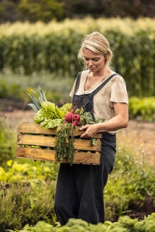 Frau bei der Ernte auf ihrem Bio-Gemüsehof. Junge Bäuerin mit einer Kiste voller frisch geernteter Produkte in ihrem Garten. Selbstversorgende Bäuerin bei der Ernte von frischem Gemüse. - JLPSF10064