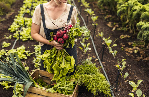 Gärtnerin mit frisch geerntetem Gemüse in ihrem Bio-Garten. Selbstversorgerin, die eine Vielzahl von frischen Produkten in einer Kiste arrangiert. Unbekannte junge Frau bei der Ernte auf ihrem Hof. - JLPSF10082