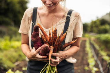 Fröhliche Bäuerin mit frisch geernteten Karotten und Süßkartoffeln auf ihrem Hof. Selbständige junge Frau, die nach der Ernte von frischem Gemüse aus ihrem Bio-Garten fröhlich lächelt. - JLPSF10083