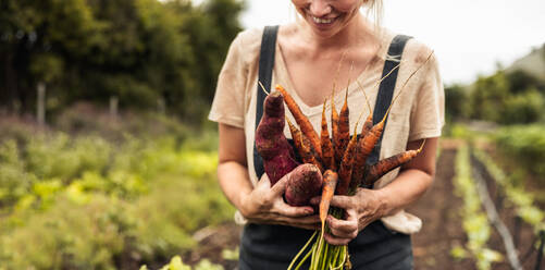 Fröhliche Bäuerin mit frisch geernteten Karotten und Süßkartoffeln auf ihrem Bauernhof. Selbständige junge Frau, die nach der Ernte von frischem Gemüse aus ihrem Bio-Garten glücklich lächelt. - JLPSF10084