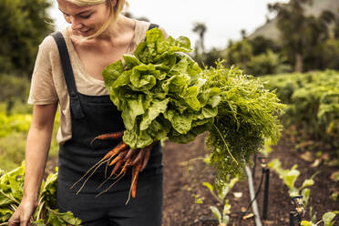 Lächelnder Biobauer mit frisch geerntetem Gemüse in der Hand auf einem landwirtschaftlichen Feld. Selbstständige junge Frau, die während der Erntezeit in ihrem Garten frisches Grün erntet. - JLPSF10091