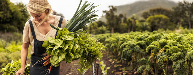 Glückliche Biobäuerin mit frisch geerntetem Gemüse in der Hand auf einem landwirtschaftlichen Feld. Selbstständige junge Frau, die während der Erntezeit in ihrem Garten frisches Grün erntet. - JLPSF10092