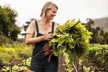 Fröhliche Biobäuerin mit frisch geerntetem Gemüse in der Hand auf einem landwirtschaftlichen Feld. Selbstständige junge Frau, die während der Erntezeit in ihrem Garten frisches Grün erntet. - JLPSF10093