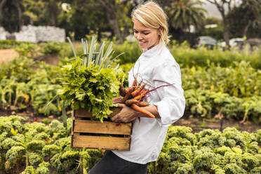 Fröhliche junge Köchin, die eine Kiste mit frisch geerntetem Gemüse auf einem Bio-Bauernhof trägt. Selbstversorgerin, die ein landwirtschaftliches Feld mit einer Vielzahl von frischen Produkten verlässt. - JLPSF10100