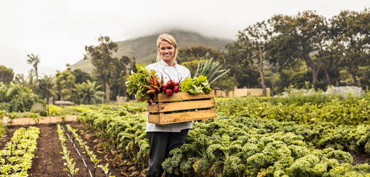 Frisches Gemüse vom Bauernhof auf den Tisch tragen: Eine fröhliche junge Köchin lächelt in die Kamera, während sie eine Kiste mit frisch geerntetem Gemüse auf einem landwirtschaftlichen Feld trägt. - JLPSF10103