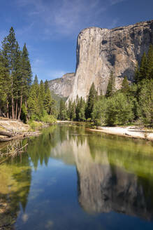 El Capitan spiegelt sich im Fluss Merced, Yosemite Natiional Park, UNESCO Weltkulturerbe, Kalifornien, Vereinigte Staaten von Amerika, Nord Amerika - RHPLF23213