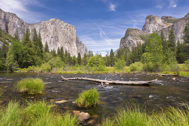 El Capitan und das Yosemite-Tal vom Merced River aus gesehen, Yosmeite-Nationalpark, UNESCO-Welterbe, Kalifornien, Vereinigte Staaten von Amerika, Nordamerika - RHPLF23216