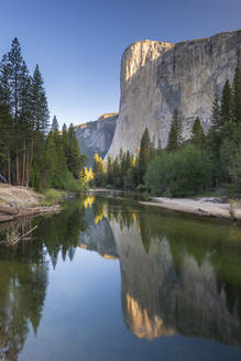 El Capitan spiegelt sich im Fluss Merced in der Morgendämmerung, Yosemite Natiional Park, UNESCO Weltkulturerbe, Kalifornien, Vereinigte Staaten von Amerika, Nord Amerika - RHPLF23217