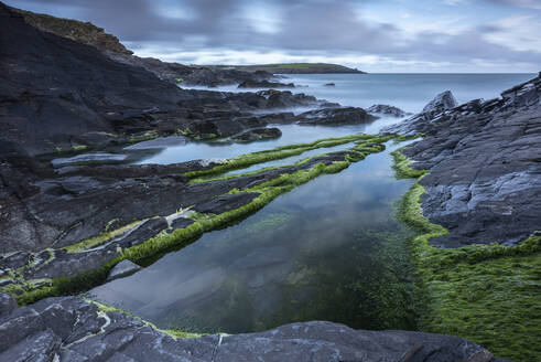 Felsenpools auf den Schieferfelsen bei Harlyn Bay in Cornwall, England, Vereinigtes Königreich, Europa - RHPLF23221