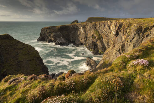 Dramatische Klippenlandschaft bei Padstow an der Nordküste von Cornwall, England, Vereinigtes Königreich, Europa - RHPLF23222