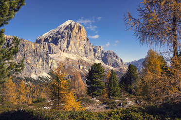Tofana di Rozes im Herbst, Falzarego-Pass, Dolomiten, Venetien, Italien, Europa - RHPLF23282