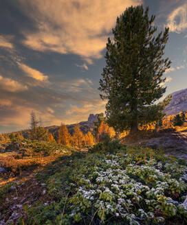 Nuvolau im Herbst, Falzaregopass, Dolomiten, Venetien, Italien, Europa - RHPLF23283