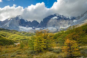 Berge um Valle Frances (Valle del Frances) im Herbst, Torres del Paine Nationalpark, Patagonien, Chile, Südamerika - RHPLF23299
