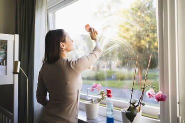 Frau putzt Fenster zu Hause - DMMF00187