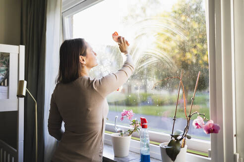 Woman cleaning window at home - DMMF00187