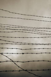 Austria, Upper Austria, Barbed wire fence of Iron Curtain Memorial against cloudy sky - WWF06211