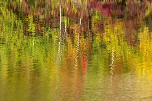 Herbstbäume, die sich im Badesee Erlabrunn spiegeln - NDF01531