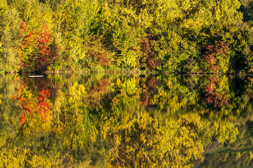 Herbstbäume, die sich im Badesee Erlabrunn spiegeln - NDF01536